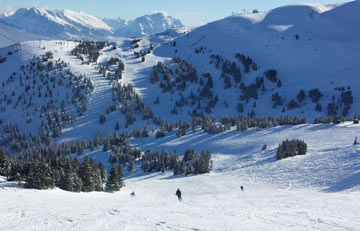 Jasper Marmot Basin resort photo