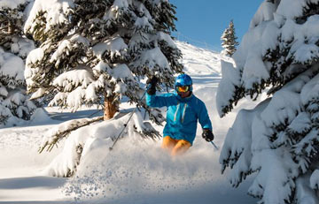 Jasper Marmot Basin resort photo