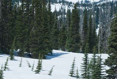 school ski group in usa